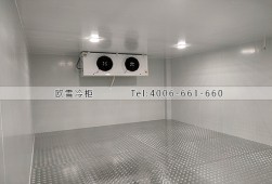 冷藏冷库-福建莆田110立方的双系统冷藏冷库安装